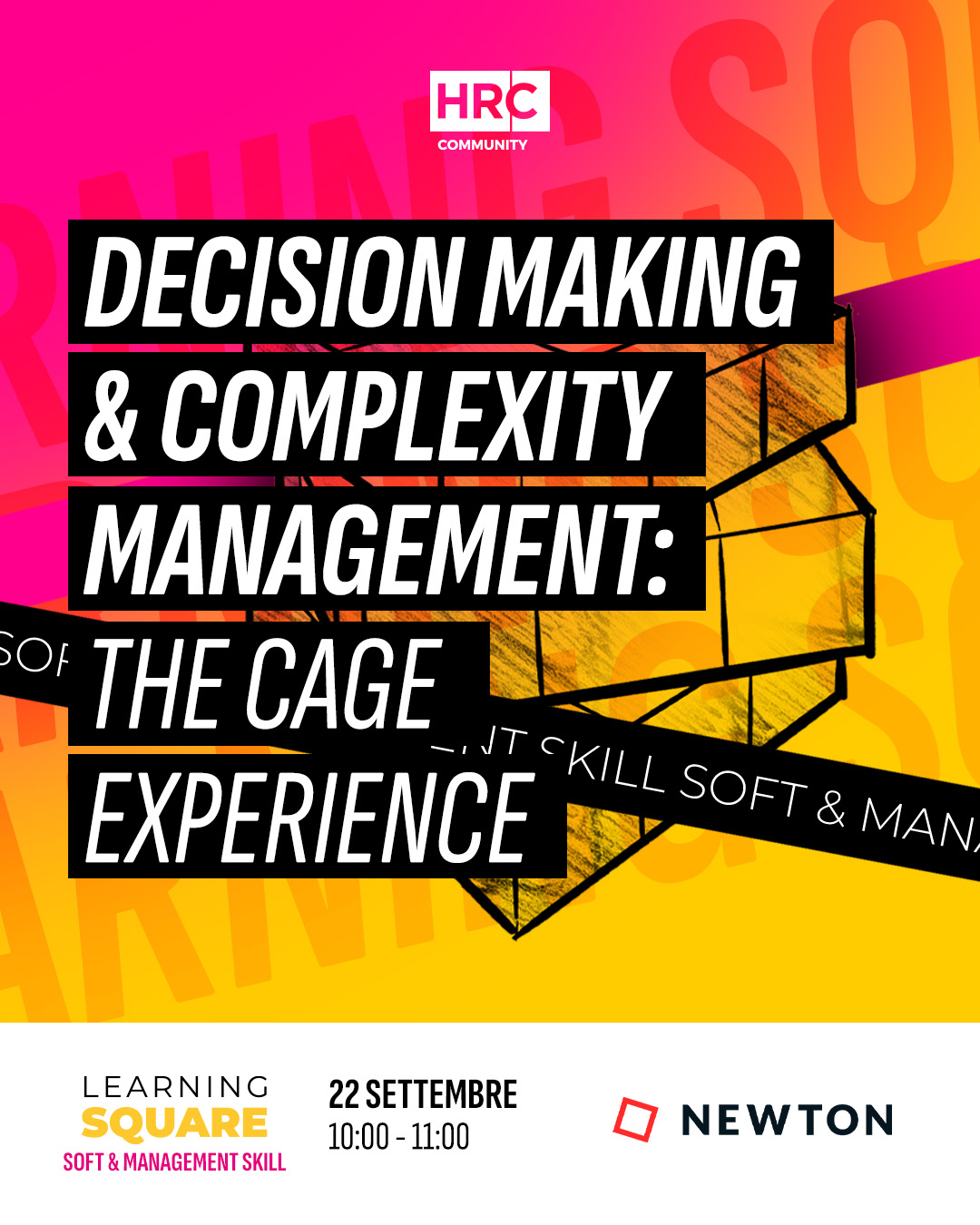 Decision Making & Complexity Management: The Cage Experience
